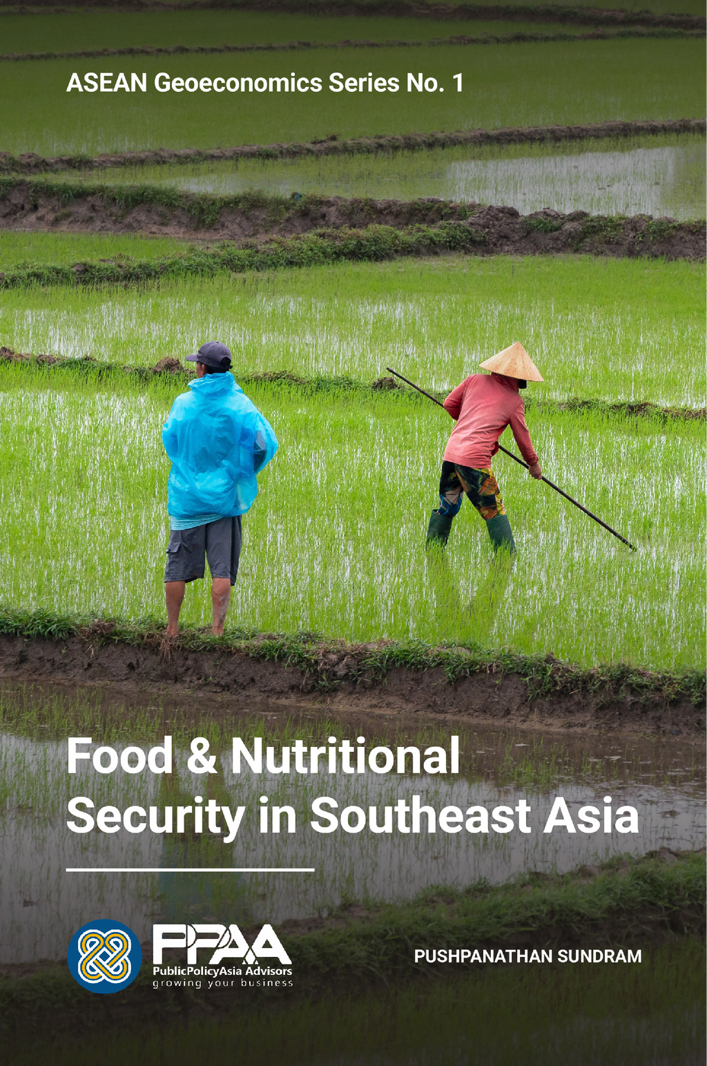 ASEAN Geoeconomics Series No. 1: Food & Nutritional Security in Southeast Asia - Ebook (Only on Amazon)